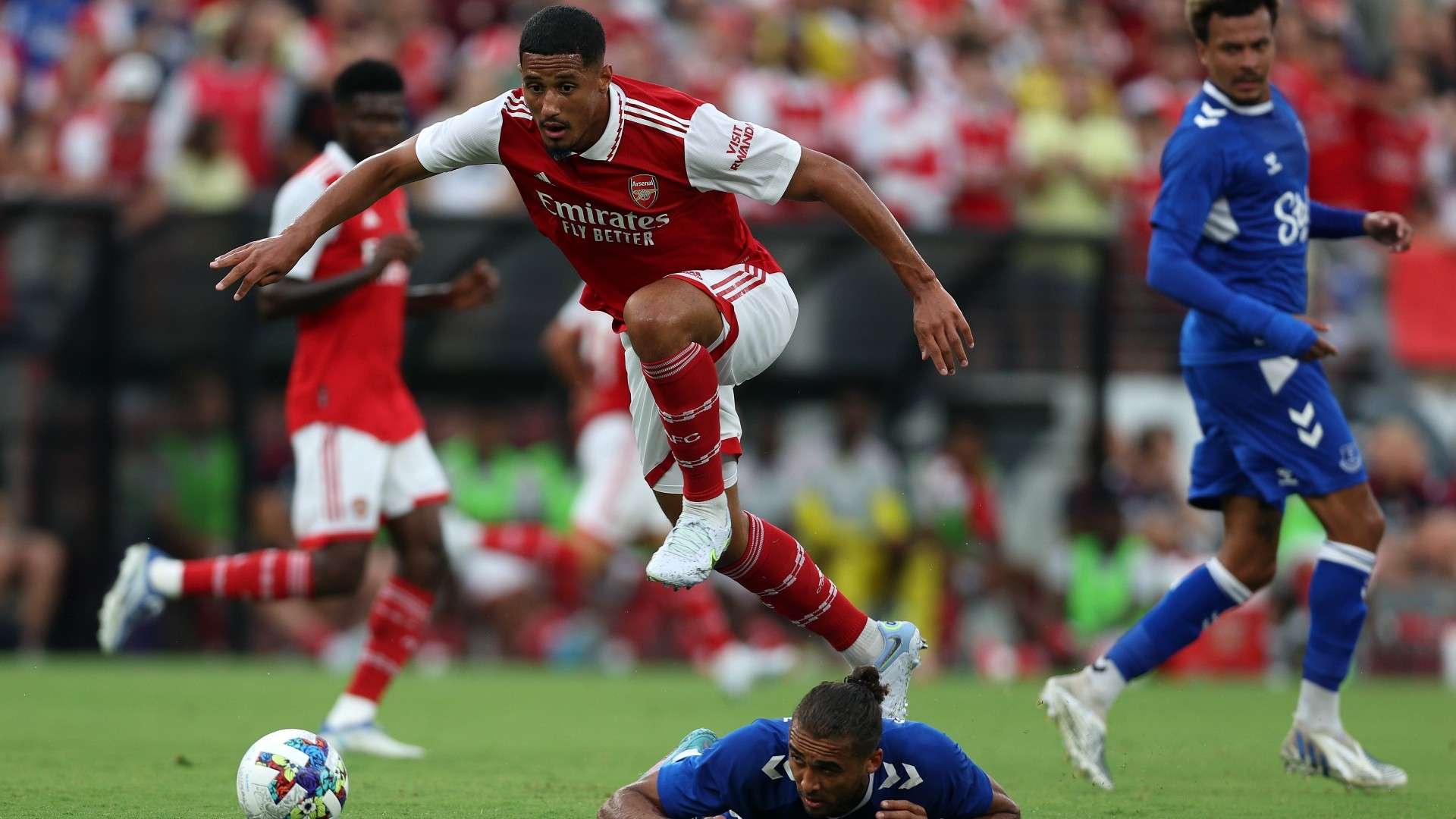 无疑将使他 无疑将使他