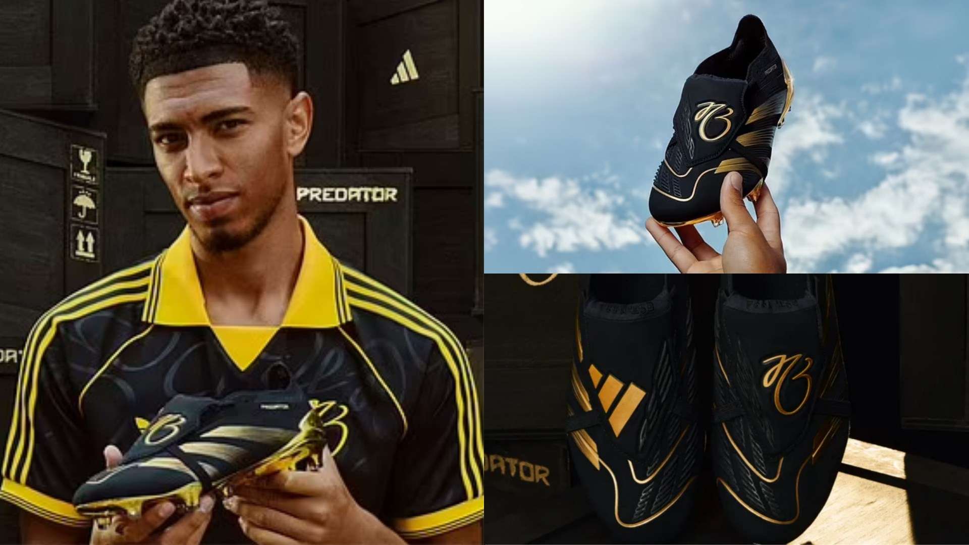 他看着周围 他看着周围