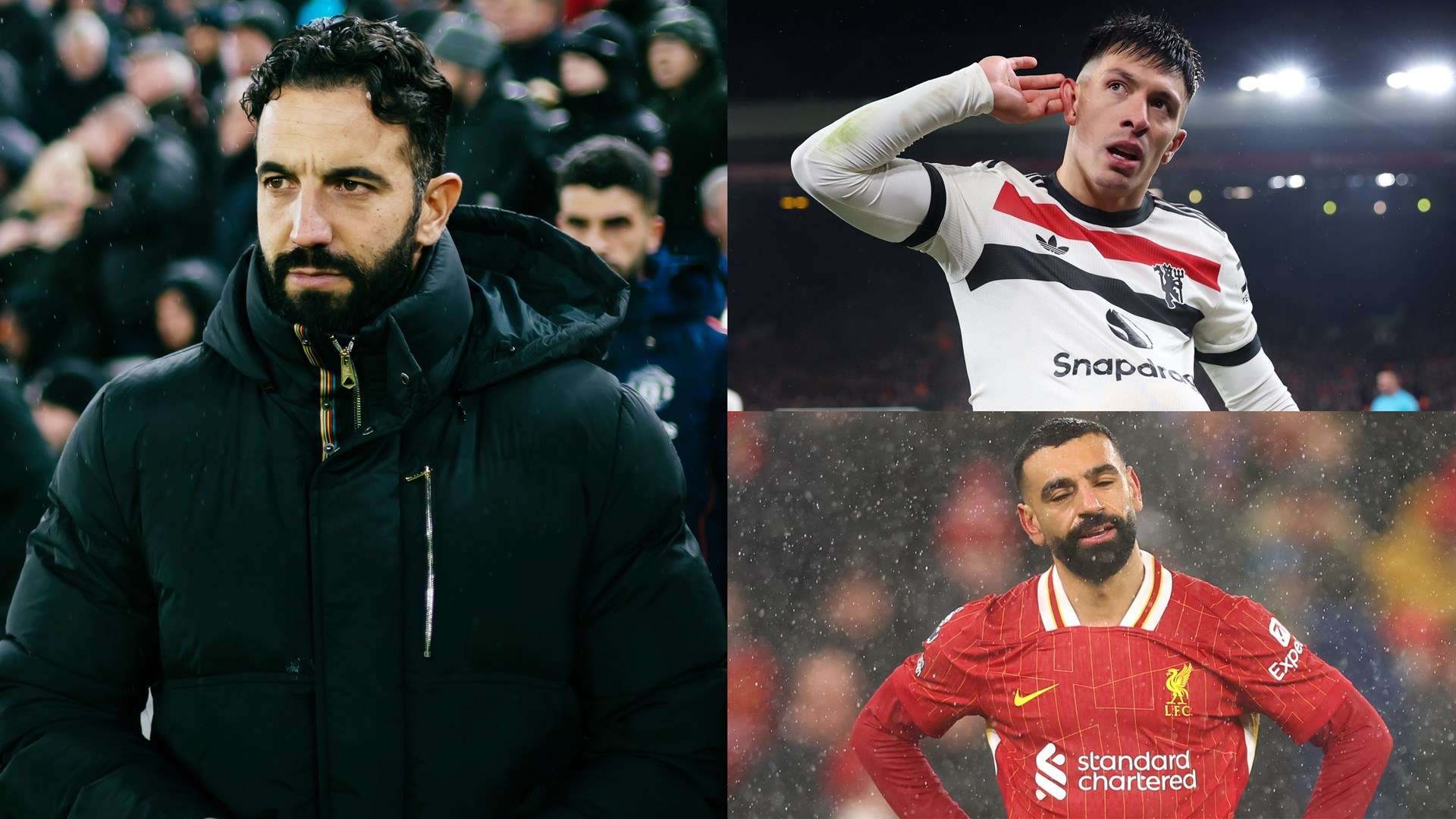 贡献自己的 贡献自己的